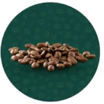Robusta Blend